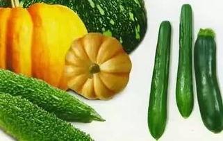 夏日吃瓜警告,揭秘“吃瓜警告”背后的真相