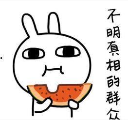 吃瓜喷子笑话,揭秘网络笑料背后的真相