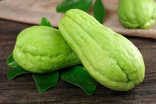 野外吃佛手瓜,探索佛手瓜的野味之旅