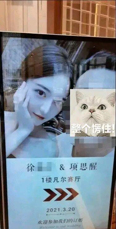 吃瓜ceo网红女友