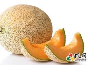 梦见吃少瓜解梦,吃少瓜的寓意与启示