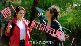 胖子吴邪吃瓜,胖子吴邪的瓜田奇遇记