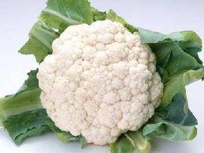 菜花夫妇吃瓜,娱乐圈背后的那些事儿