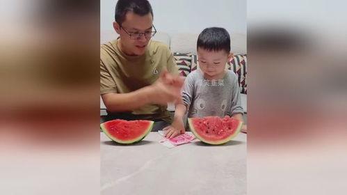 吃瓜比赛父亲,见证家庭欢乐时光的温馨瞬间