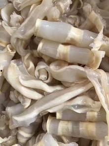 红瓜鱼胶怎么吃,红瓜鱼胶的多样食用方法解析