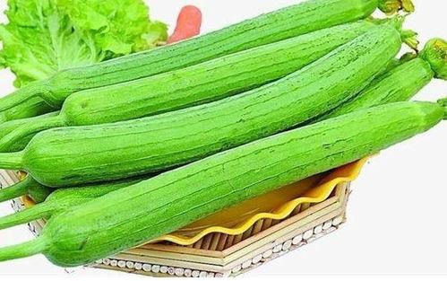 吃高瓜拉屎多,揭秘吃高瓜为何拉屎多