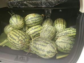 吃瓜群众小帖子,小帖子背后的热点事件