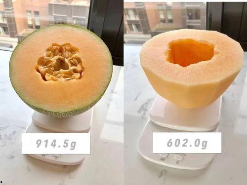 胖胖被宠吃瓜